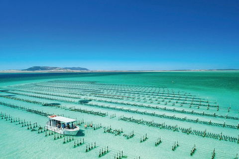 Coffin Bay Private Day Tour From Port Lincoln - A Taste Of Coffin Bay - Accommodation China 0