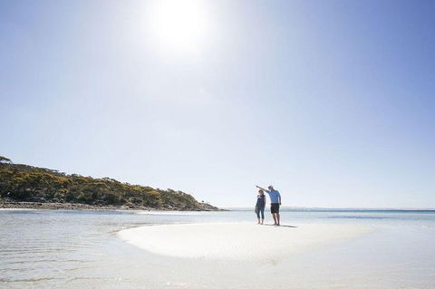 Exceptional Port Lincoln, Seafood And Wildlife Tour - Accommodation China 5