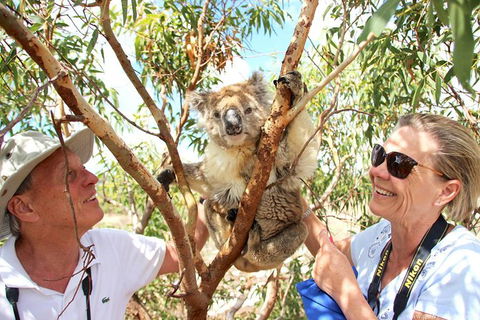 Exceptional Port Lincoln, Seafood And Wildlife Tour - Accommodation China 6