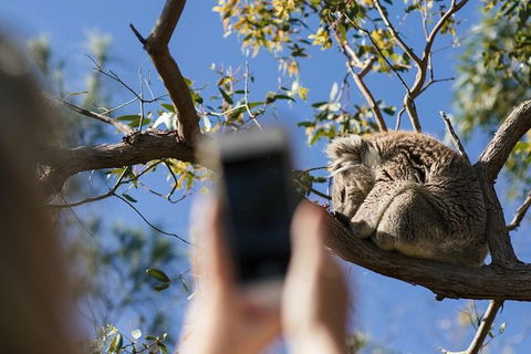 Exceptional Port Lincoln, Seafood And Wildlife Tour - Accommodation China 2