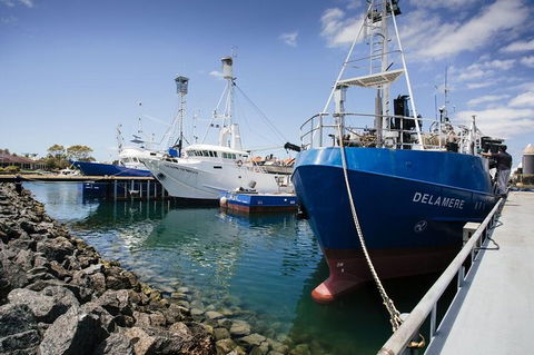 Exceptional Port Lincoln, Seafood And Wildlife Tour - Accommodation China 8