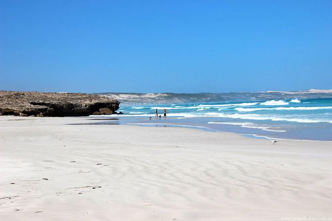 Exceptional Port Lincoln, Seafood And Wildlife Tour - Accommodation China 4