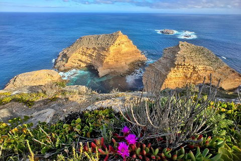 One Day Port Lincoln Tour - Tasting Eyre - Accommodation China 1