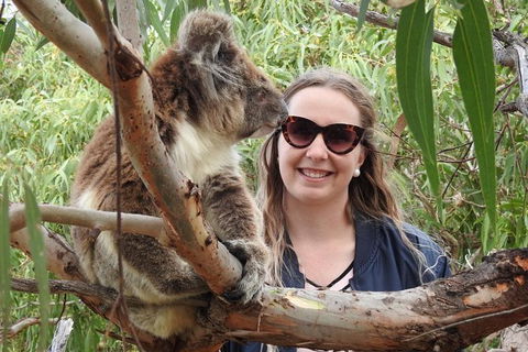 One Day Port Lincoln Tour - Tasting Eyre - Accommodation China 0