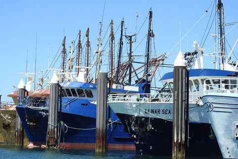 One Day Port Lincoln Tour - Tasting Eyre - Accommodation China 8