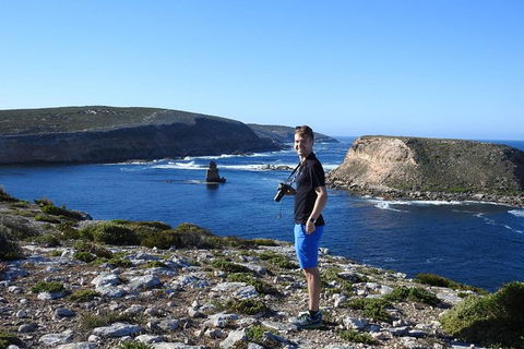 One Day Port Lincoln Tour - Tasting Eyre - Accommodation China 11