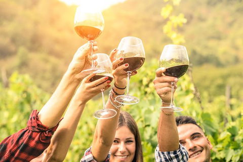 Adelaide Hills Day Tour. Winery Cellar Doors - Accommodation Guide 6