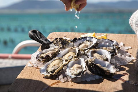 Experience Coffin Bay Short And Sweet Oyster Farm Tour - Accommodation China 0
