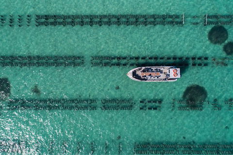 Experience Coffin Bay Short And Sweet Oyster Farm Tour - Accommodation China 1