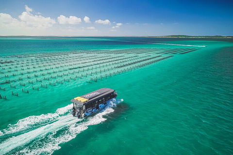 Experience Coffin Bay Short And Sweet Oyster Farm Tour - Accommodation China 2