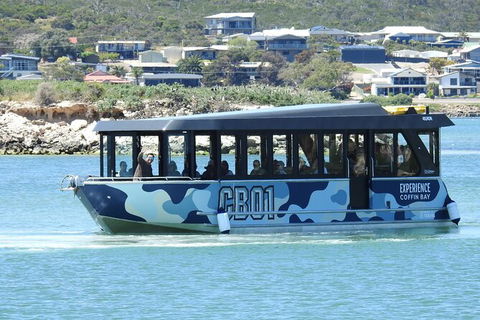 Experience Coffin Bay Short And Sweet Oyster Farm Tour - Accommodation China 9