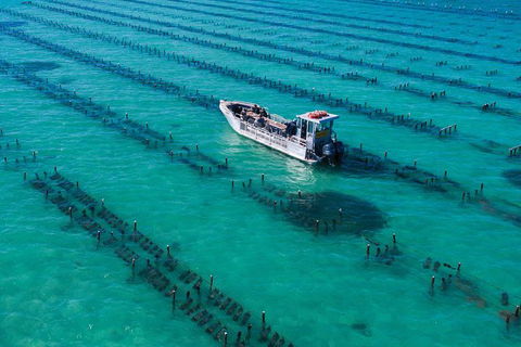 Experience Coffin Bay Short And Sweet Oyster Farm Tour - Accommodation China 7
