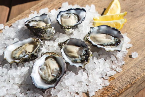 Experience Coffin Bay Short And Sweet Oyster Farm Tour - Accommodation China 3
