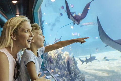 Gold Coast Theme Park Pass: Warner Bros. Movie World, Sea World And Wet'n'Wild - Accommodation Guide 1