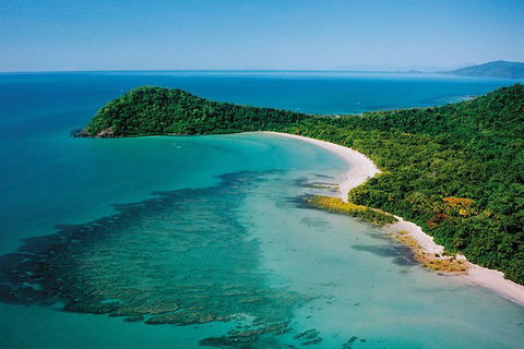 Daintree Rainforest, Cape Tribulation, Mossman Gorge In A Day - Accommodation Guide 6