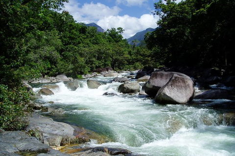 Daintree Rainforest, Cape Tribulation, Mossman Gorge In A Day - Accommodation Guide 2