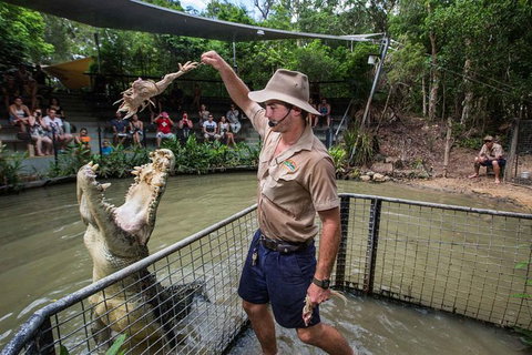 Full-Day Tour With Kuranda Scenic Railway, Skyrail Rainforest Cableway, And Hartley's Crocodile Adventures From Cairns - Accommodation Guide 1