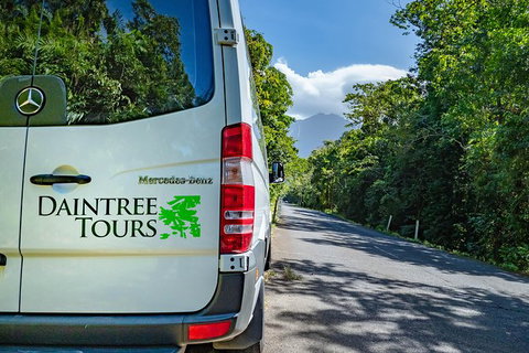 Full Day Daintree Rainforest And Mossman Gorge Tour - Accommodation Guide 4