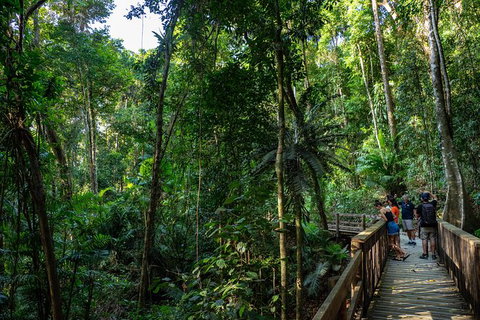 Full Day Daintree Rainforest And Mossman Gorge Tour - Accommodation Guide 10