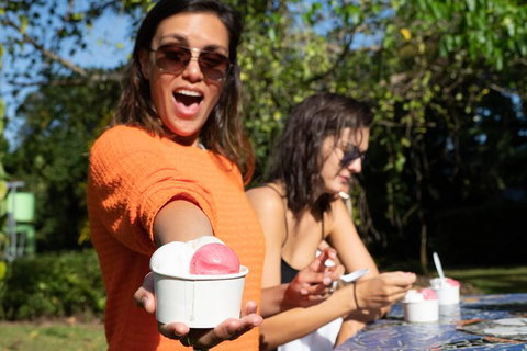 Full Day Daintree Rainforest And Mossman Gorge Tour - Accommodation Guide 9