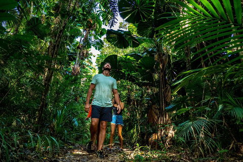 Full Day Daintree Rainforest And Mossman Gorge Tour - Accommodation Guide 12