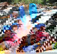 Tully River Full-Day White Water Rafting from Cairns including Lunch