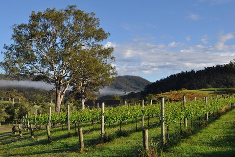 Full Day Mount Tamborine Winery Tour From Gold Coast - Accommodation Guide 15