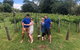 Full Day Mount Tamborine Winery Tour From Gold Coast - thumb 6