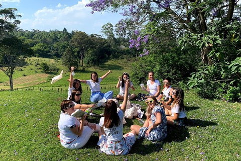 Full Day Mount Tamborine Winery Tour From Gold Coast - Accommodation Guide 11