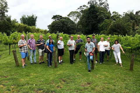 Full Day Mount Tamborine Winery Tour From Gold Coast - Accommodation Guide 7
