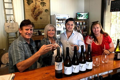 Full Day Mount Tamborine Winery Tour From Gold Coast - Accommodation Guide 4