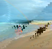 Rainbow Beach Horse Ride
