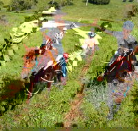 Country Day Ride from Mt Goomboorian with Rainbow Beach Horse Rides