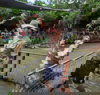 Hartley's Crocodile Adventures Day Trip from Cairns - Accommodation China
