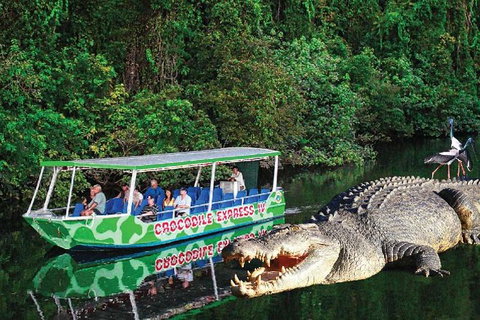Daintree River Cruise - Accommodation Asia 7