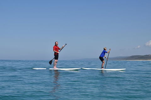Stand Up Paddle Double Island Lesson - Accommodation Asia 1