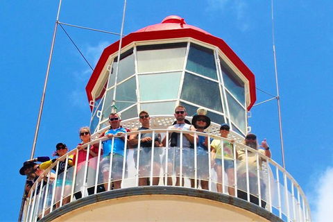 Full-Day 1770 Tour By LARC Amphibious Vehicle Including Sandboarding And Bustard Head Lightstation - Accommodation China 4