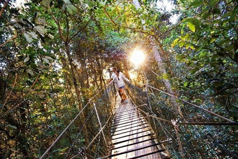 O'Reilly's Lamington National Park And Treetop Canopy Tour - Accommodation China 0