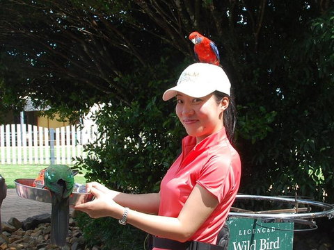 O'Reilly's Lamington National Park And Treetop Canopy Tour - Accommodation China 5