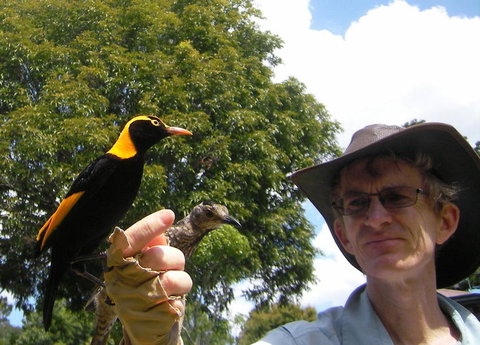 O'Reilly's Lamington National Park And Treetop Canopy Tour - Accommodation China 4