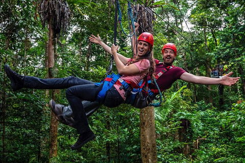 Daintree Atttractions Pass: The Best Of The Daintree In A Day - Accommodation Guide 1