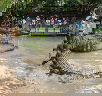 Hartley's Crocodile Adventures General Entry Ticket - Accommodation China