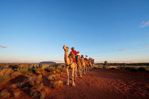 Uluru Small-Group Tour By Camel At Sunrise Or Sunset - Accommodation Asia 0