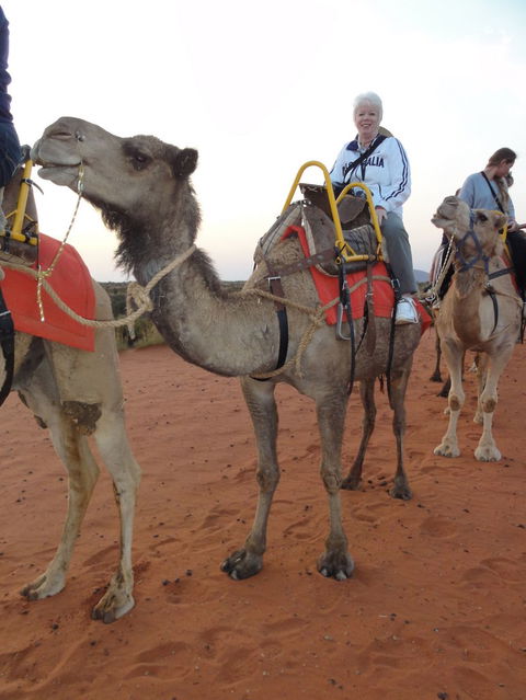 Uluru Small-Group Tour By Camel At Sunrise Or Sunset - Accommodation Asia 2