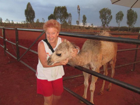 Uluru Small-Group Tour By Camel At Sunrise Or Sunset - Accommodation Asia 18