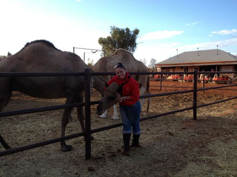 Uluru Small-Group Tour By Camel At Sunrise Or Sunset - Accommodation Asia 21