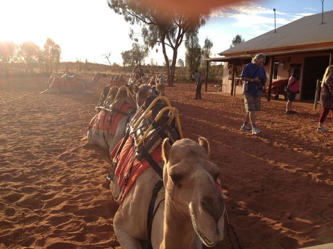 Uluru Small-Group Tour By Camel At Sunrise Or Sunset - Accommodation Asia 22
