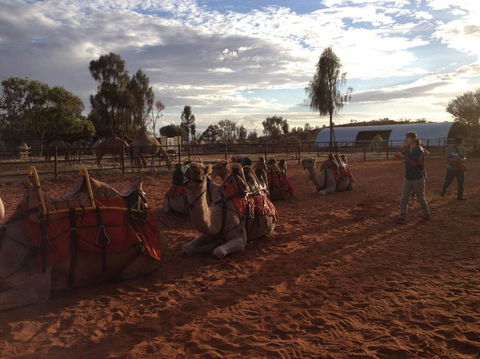 Uluru Small-Group Tour By Camel At Sunrise Or Sunset - Accommodation Asia 23