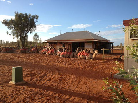 Uluru Small-Group Tour By Camel At Sunrise Or Sunset - Accommodation Asia 19