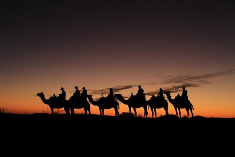 Uluru Small-Group Tour By Camel At Sunrise Or Sunset - Accommodation Asia 27